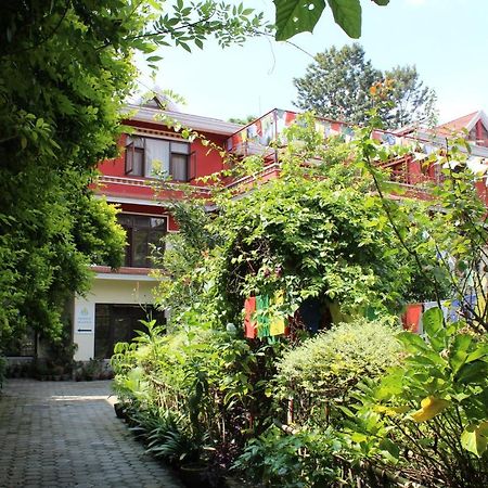 Rokpa Pensión Katmandú Exterior foto