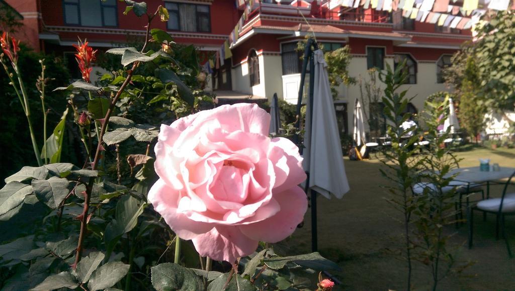 Rokpa Pensión Katmandú Exterior foto