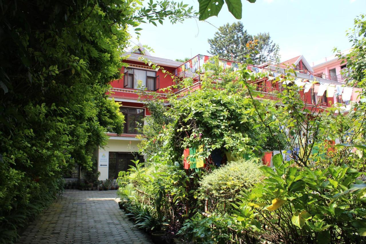 Rokpa Pensión Katmandú Exterior foto